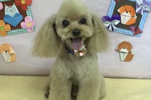 2月のお友達☆