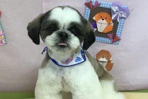2月のお友達♬