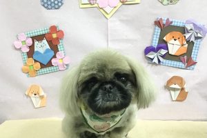 2月のお友達☆