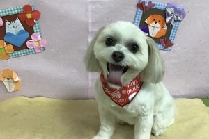 2月のお友達☆