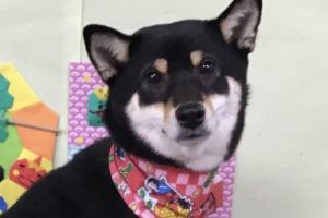 2月のお友達☆