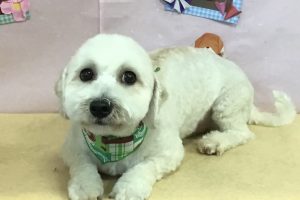 2月のお友達☆