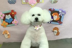 2月のお友達☆