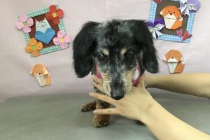 2月のお友達☆
