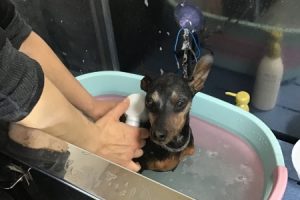 2月のお友達☆