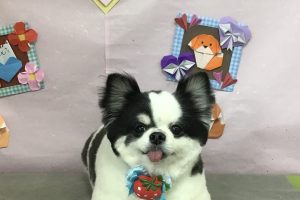 2月のお友達☆