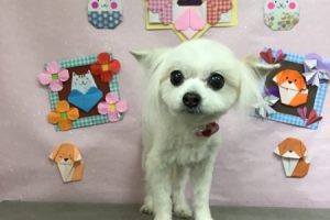 2月のお友達☆