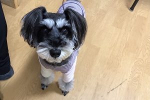 お泊まり中☆