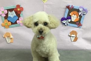2月のお友達☆