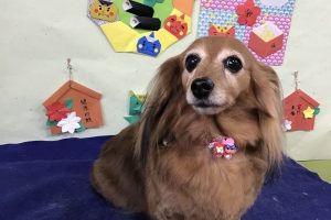 2月のお友達☆