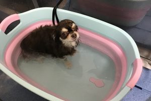 2月のお友達☆