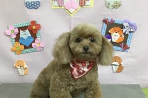 2月のお友達☆