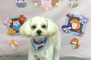 2月のお友達☆