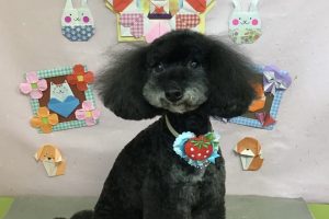 2月のお友達☆