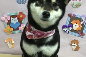 2月のお友達☆