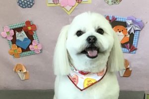 2月のお友達☆