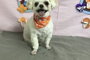 2月のお友達☆
