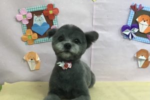 2月のお友達☆