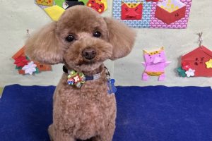 2月のお友達☆