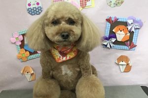 2月のお友達☆