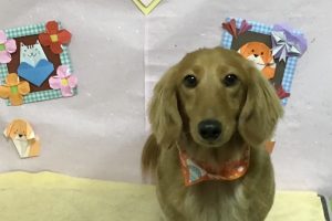 2月のお友達☆