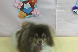 2月のお友達☆