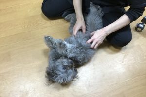 お泊まり中☆