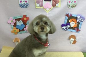 2月のお友達☆
