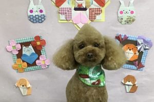 2月のお友達☆