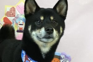 2月のお友達☆