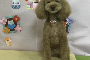 2月のお友達☆