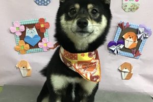 2月のお友達☆