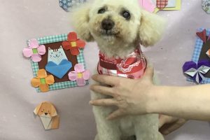 2月のお友達☆