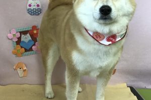 2月のお友達☆