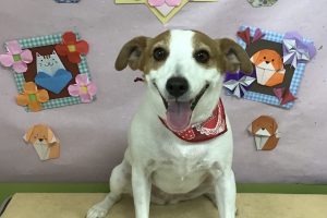 2月のお友達☆