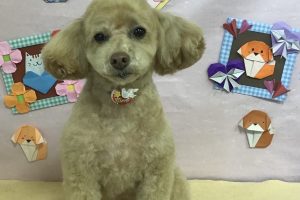 2月のお友達☆