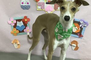 2月のお友達☆