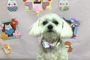 2月のお友達☆