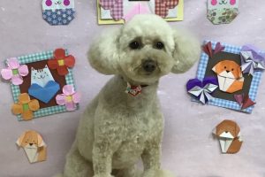 2月のお友達☆