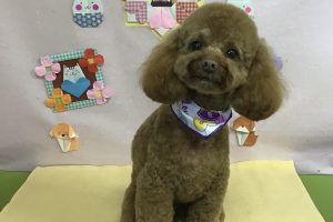 2月のお友達☆
