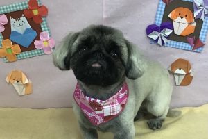 2月のお友達☆