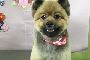 2月のお友達☆