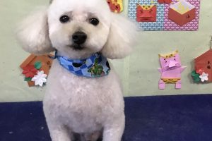 2月のお友達☆