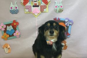 2月のお友達☆