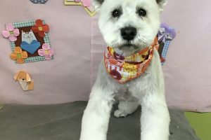 2月のお友達☆