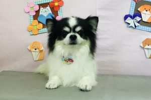 2月のお友達☆