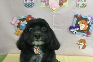 2月のお友達☆