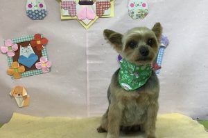 2月のお友達☆