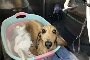 2月のお友達☆