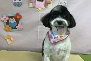 2月のお友達☆